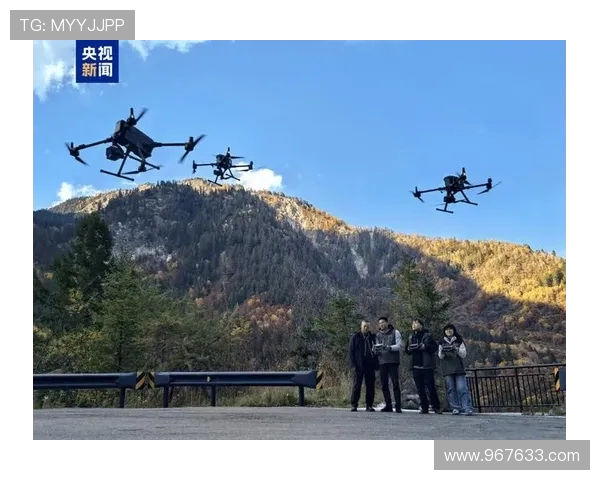 直升机旋翼载荷的实时无线监测